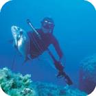 Морская рыбалка и подводная охота в Греции
